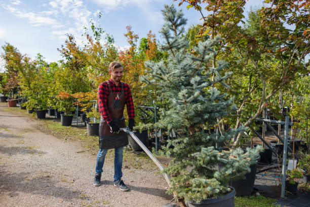 Best Seasonal Cleanup  in Conrad, MT